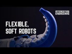 7 Soft Robots of the Future