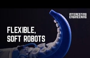 7 Soft Robots of the Future